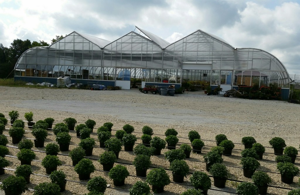 Flowers, Plants and Vegetables Country View Greenhouse Indiana